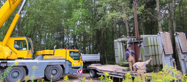 Abholung und Entsorgung