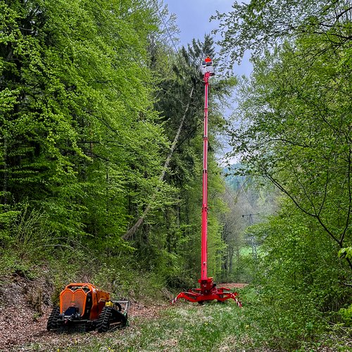 Trassenpflege im Waldgebiet: Ein ferngesteuerter Raupenmulcher und eine rote Hubarbeitsbühne im Einsatz unter Hochspannungsleitungen.